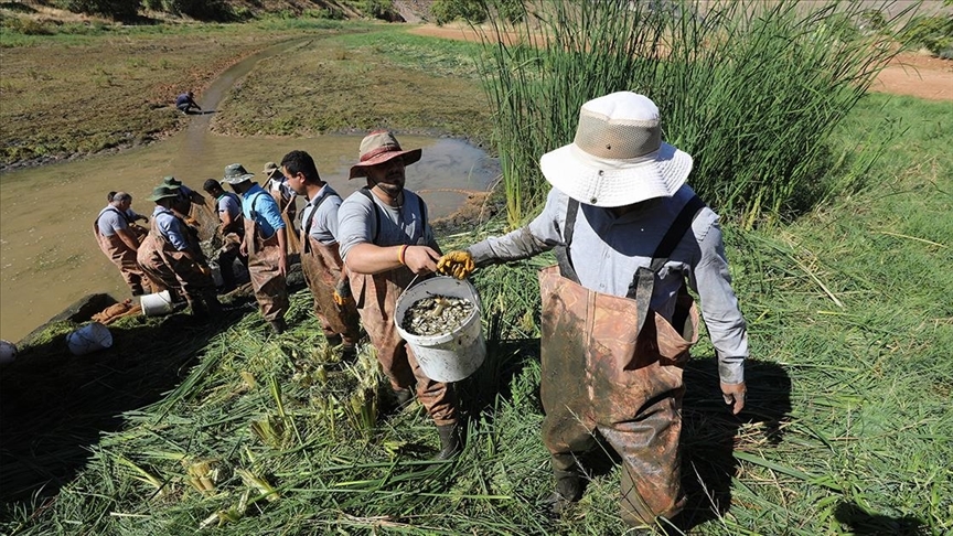 Elazığ’dan Doğu ve Güneydoğu Anadolu’daki göl ve göletlere 25 milyon sazan yavrusu takviye
